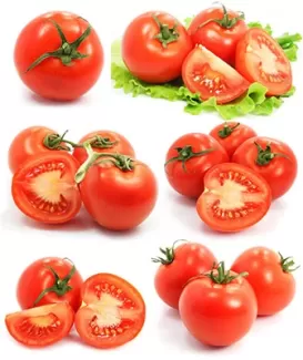 تصویر با کیفیت انواع گوجه فرنگی