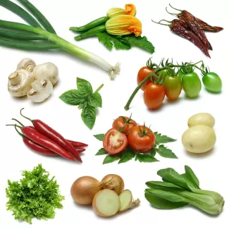 عکس با کیفیت انواع سبزیجات