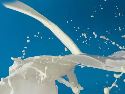 عکس باکیفیت شیر در حال ریختن