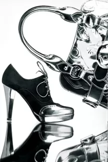 تصویر باکیفیت کیف و کفش زنانه نقره ای