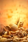 عکس دوربری انواع نان