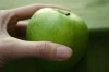تصویر با کیفیت سیب سبز و دست