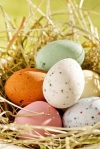 عکس با کیفیت تخم مرغ های رنگی