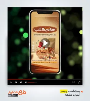 قالب آماده پریمیر آجیل فروشی