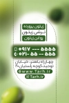 طرح کارت ویزیت زیتون فروشی جهت چاپ کارت ویزیت فروشگاه زیتون، ترشی و شور