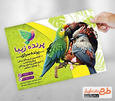 طرح تبلیغاتی تراکت فروش پرنده جهت چاپ تراکت فروشگاه پرنده و تراکت پرنده فروشی