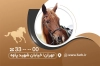 فایل لایه باز کارت ویزیت باشگاه سوارکاری شامل عکس اسب جهت چاپ کارت ویزیت کلاس آموزشی سوارکاری