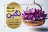 طرح لایه باز کارت ویزیت فروشگاه زعفران شامل عکس گل زعفران