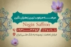 طرح خام کارت ویزیت فروشگاه زعفران شامل عکس گل زعفران