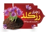 کارت تبلیغاتی فروشگاه زعفران شامل عکس گل زعفران