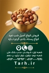 کارت ویزیت خام آجیل فروشی شامل وکتور گردو