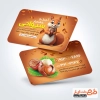 کارت ویزیت خام آجیل و خشکبار شامل وکتور سنجاب