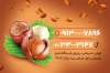 کارت ویزیت خام آجیل فروشی شامل وکتور گردو
