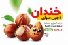 طرح لایه باز کارت ویزیت آجیل فروشی شامل وکتور گردو