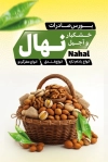طرح لایه باز کارت ویزیت آجیل فروشی شامل عکس آجیل