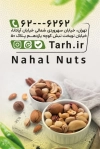 طرح آماده کارت ویزیت آجیل فروشی شامل عکس ظرف آجیل