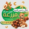 طرح لایه باز برچسب شیشه آجیل فروشی با عکس بادام هندی و پسته