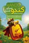 دانلود کارت ویزیت عسل فروشی شامل وکتور زنبور عسل