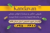 نمونه کارت ویزیت عسل فروشی شامل وکتور زنبور عسل