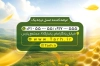 طرح کارت ویزیت عسل فروشی شامل وکتور زنبور عسل