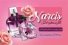 طرح خام کارت ویزیت عطر و ادکلن فروشی شامل عکس شیشه عطر