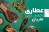 طرح کارت ویزیت خام عطاری شامل عکس گیاه دارویی