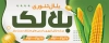 طرح بنر بلال فروشی شامل وکتور ذرت و بلال جهت چاپ تابلو و بنر بلال زغالی و تنوری