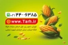 کارت ویزیت psd بلالی شامل وکتور دانه های ذرت