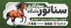 طرح تابلو باشگاه اسب سواری شامل عکس اسب