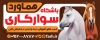طرح تابلو تبلیغاتی باشگاه اسب سواری شامل عکس اسب با فرمت PSD و قابل ویرایش