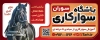 طرح تابلو تبلیغاتی باشگاه اسب سواری شامل عکس اسب با فرمت PSD و قابل ویرایش
