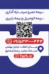 طرح خام کارت نمایندگی بیمه دانا شامل لوگو بیمه دانا