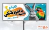 طرح لایه باز بنر دامپزشکی شامل عکس طوطی و خرگوش