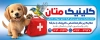 طرح بنر تبلیغاتی دامپزشکی شامل عکس گربه و سگ با فرمت PSD و قابل ویرایش