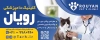 فایل لایه باز تابلو دامپزشکی شامل عکس گربه و دامپزشک جهت چاپ بنر و تابلو دامپزشکی