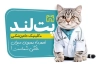 طرح کارت ویزیت خام کلینیک دامپزشکی شامل عکس گربه