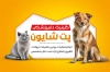 کارت ویزیت قابل ویرایش دامپزشک شامل وکتور گربه با فرمت PSD و قابل ویرایش