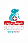 کارت ویزیت دامپزشک شامل وکتور گربه با فرمت PSD و قابل ویرایش