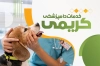 دانلود طرح کارت ویزیت دامپزشکی شامل عکس سگ جهت چاپ کارت ویزیت کلینیک دامپزشک