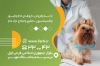دانلود کارت ویزیت دامپزشکی لایه باز شامل عکس سگ جهت چاپ کارت ویزیت دامپزشکی