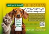 طرح خام تراکت دامپزشک شامل عکس سگ و گربه