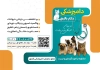 طرح تراکت دامپزشک شامل عکس حیوانات