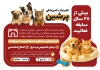 طرح تراکت خام دامپزشکی شامل عکس حیوانات با فرمت PSD و قابل ویرایش