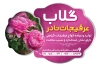 طرح برچسب عرقیات گیاهی لایه باز شامل عکس گل محمدی جهت چاپ لیبل فروشگاه عرقیجات