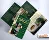 طرح کاتالوگ تبلیغاتی دکوراسیون داخلی شامل رنگ بندی طلایی