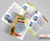 طرح psd بروشور دهه فجر شامل وکتور پرچم ایران و برج آزادی جهت چاپ بروشور دستاوردهای انقلاب