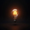 عکس حرفه ای الکتریکی