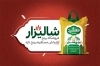 کارت ویزیت فروشگاه برنج شامل دانه برنج