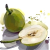 دانلود وکتور گلابی