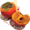 دانلود وکتور خرمالو